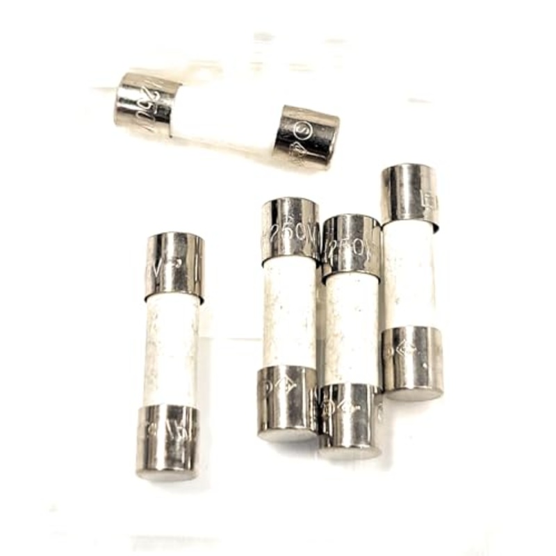 Fuse T-1A T1A 250V Ceramic Body TIME DELAY (5PCS) 5 X 20MM Size