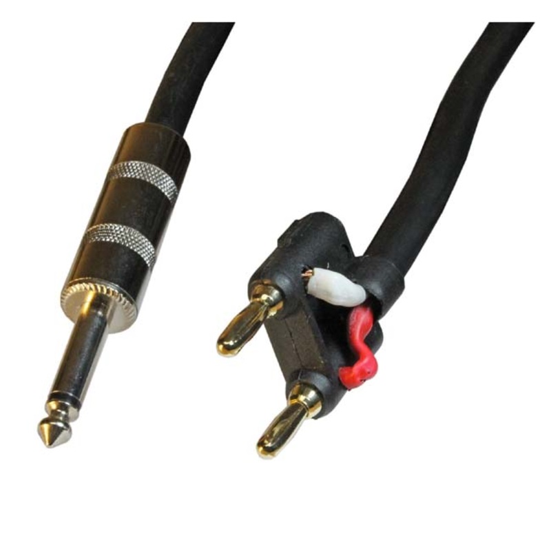 CA1059A-10 – AUDIO CABLE 6.3MON PL-BANANA PL2 10FT