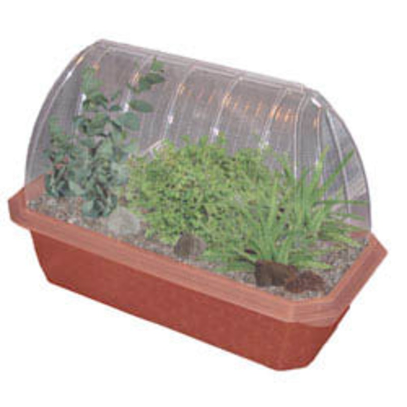 000056 – HEALING GARDEN WINDOWSILL GREEN HOUSE