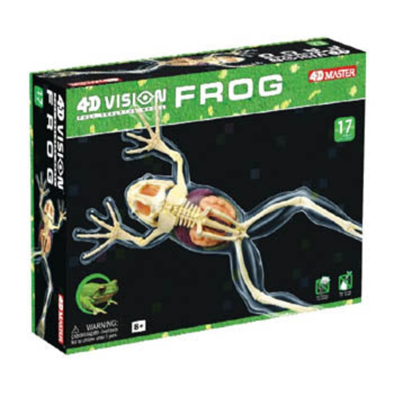 26722 – FROG SKELETON MODEL-AGES 8+ 4D-VISION