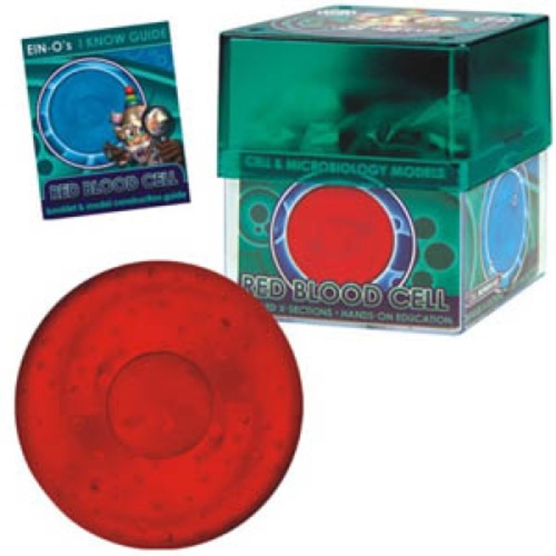 32371-RED – RED BLOOD CELL-CELL AND MICROBIO MICROBIOLOGY MODEL