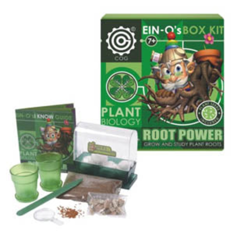 32386-ROOT – ROOT POWER-PLANT BIOLOGY