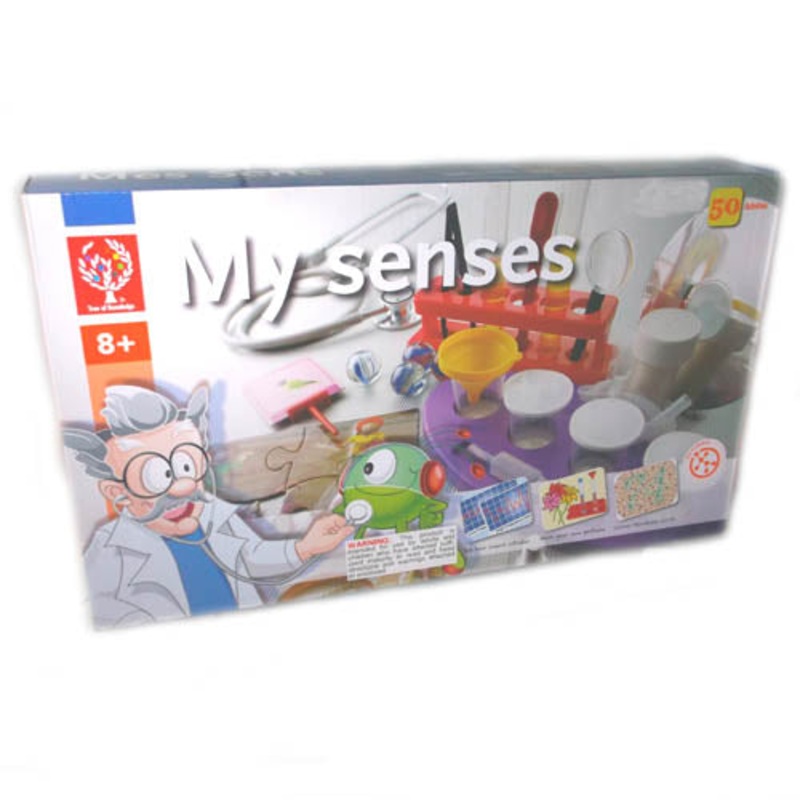 EDU-7086 – MY SENSES BODY AWARENESS SCIENCE SERIES