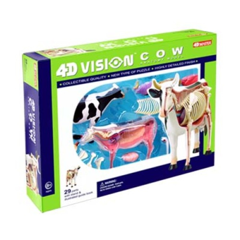 26100 – COW ANATOMY MODEL 29PARTS W/STAND & BOOK