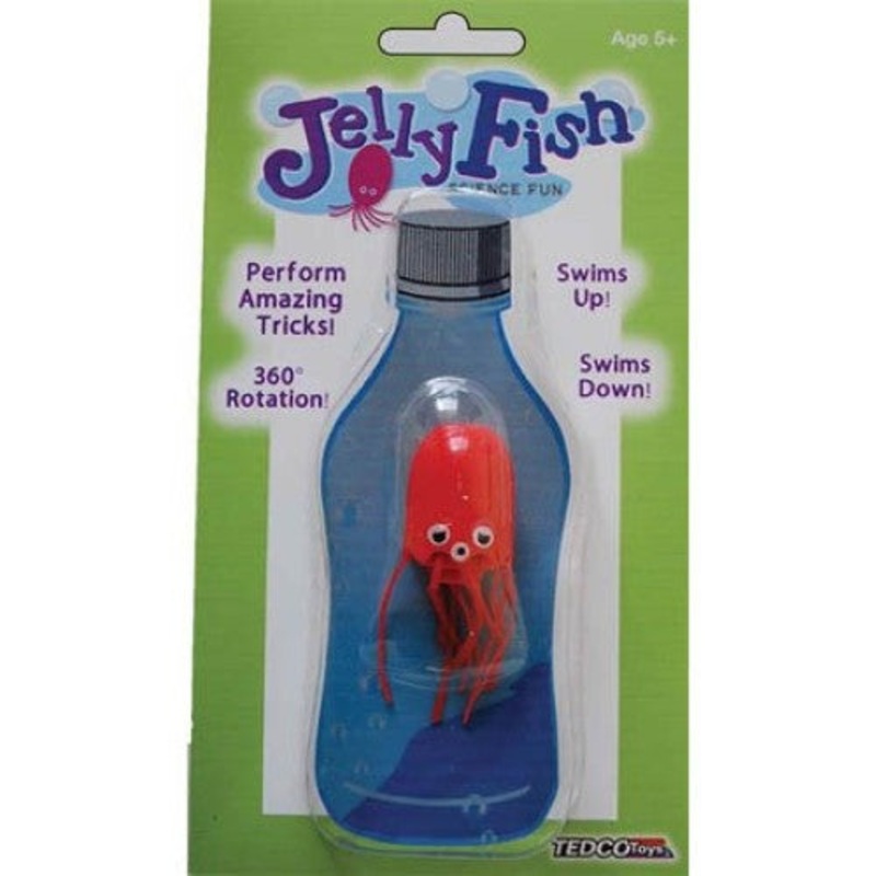 12090 – JELLYFISH SCIENCE FUN