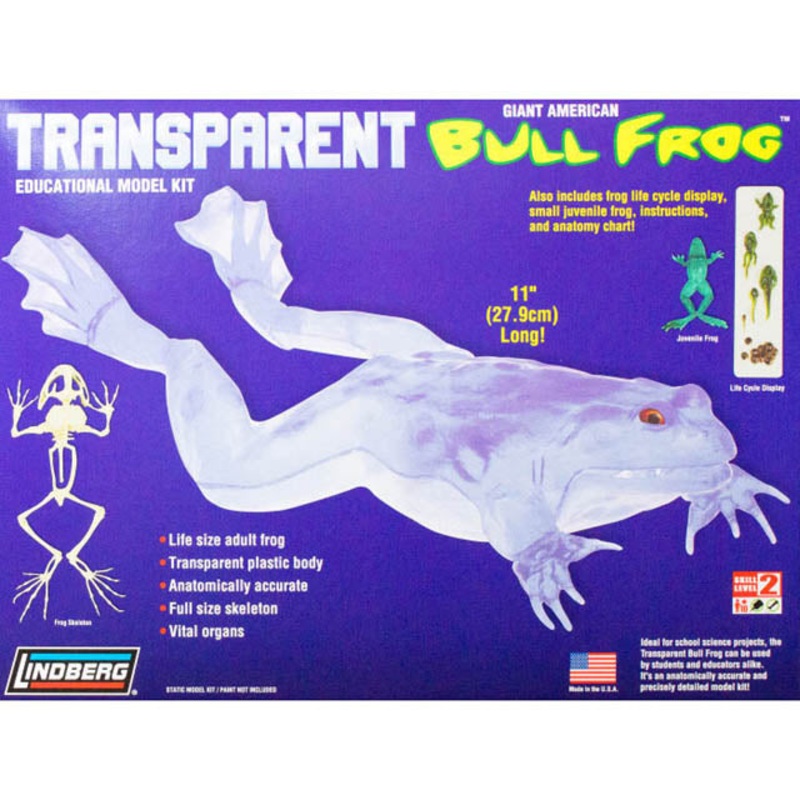 HL301/12 – TRANSPARENT BULL FROG MODEL KIT 11IN LONG