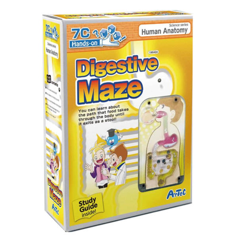 196424 – DIGESTIVE MAZE WITH GUIDEBOOK