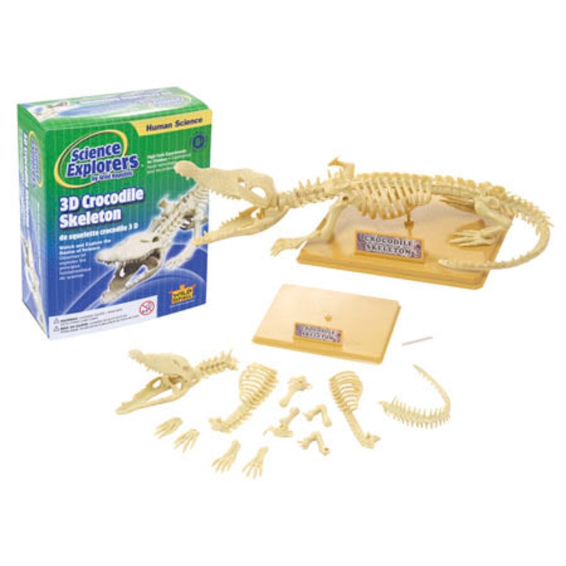 86021 – CROCODILE SKELETON KIT
