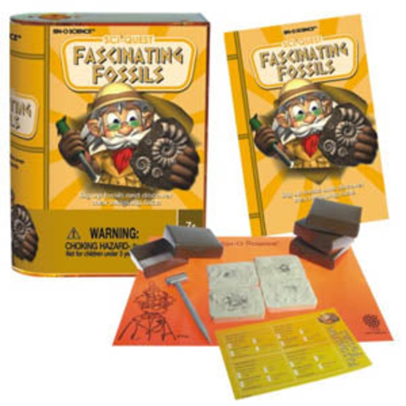 2283 – EXPLORING FOSSILS