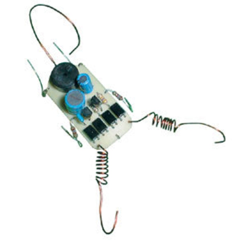 C6843 – SOLARBUG