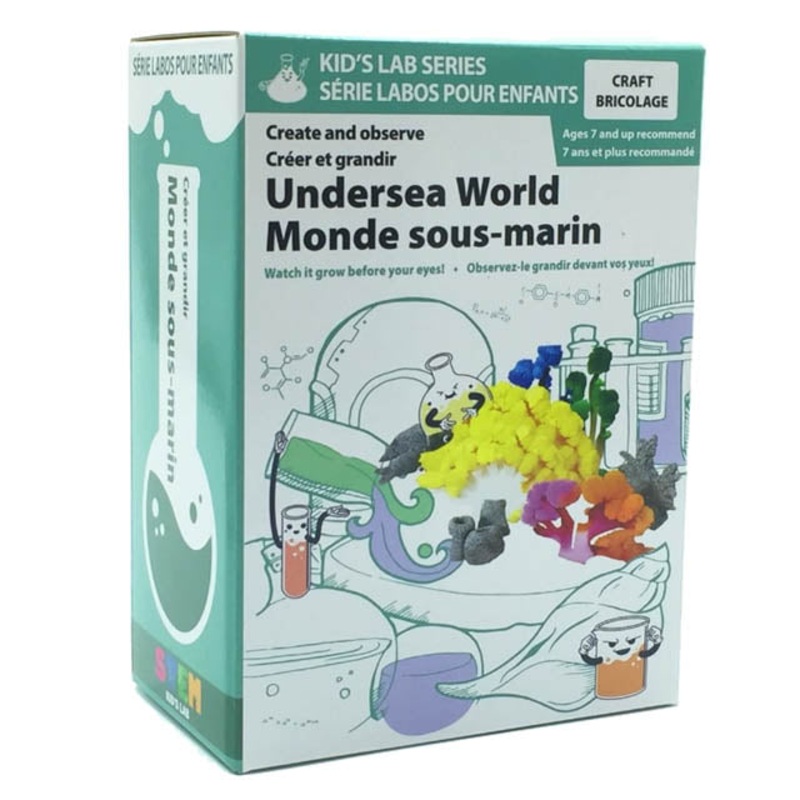 CK304 – UNDERSEA WORLD-CREATE AND OBSERVE