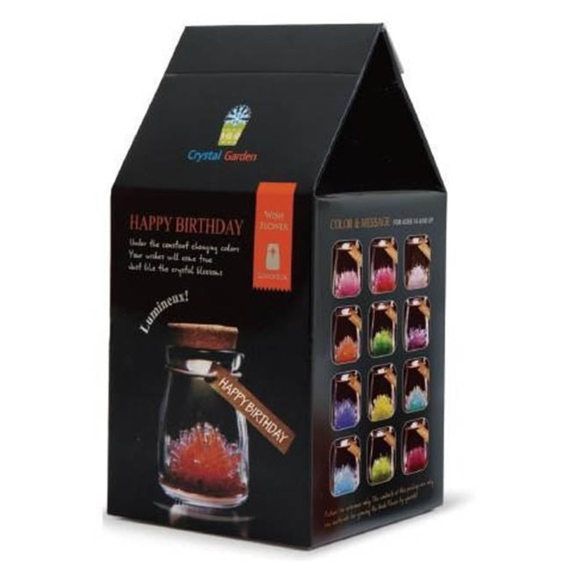 DG1001 – CRYSTAL GARDEN WISH FLOWER ASSORTED COLOR AND MESSAGE