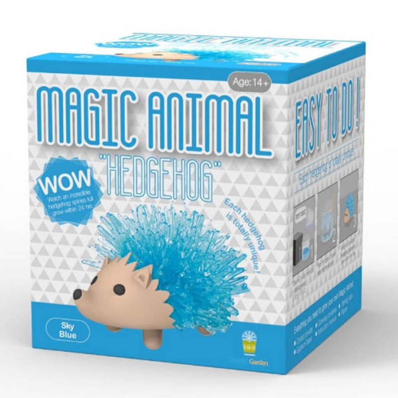 DG1003 – CRYSTAL KIT MAGIC HEDGEHOG ASSORTED COLORS