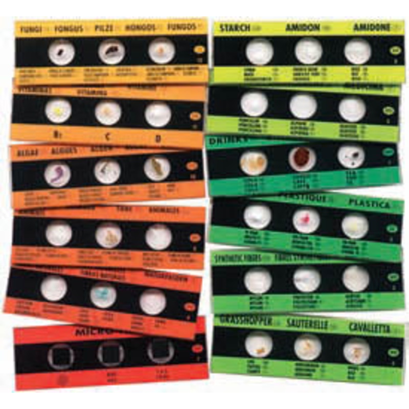 EDU-36729 – PREPARED MICRO SLIDES 12 SLIDES WITH 36 ASSORTED SPECIMENS