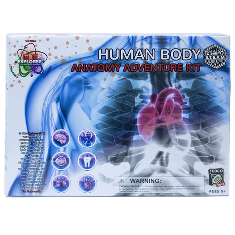 32014 – HUMAN BODY ANATOMY ADVENTURE KIT