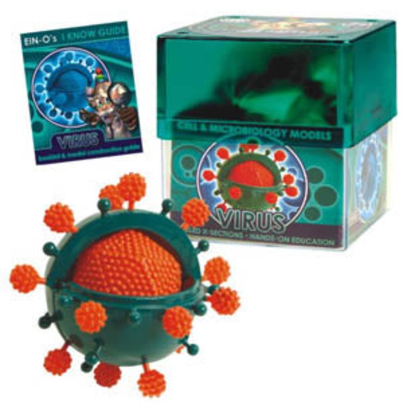 32371-VIRUS – VIRUS-CELL AND MICROBIOLOGY MODE MODEL