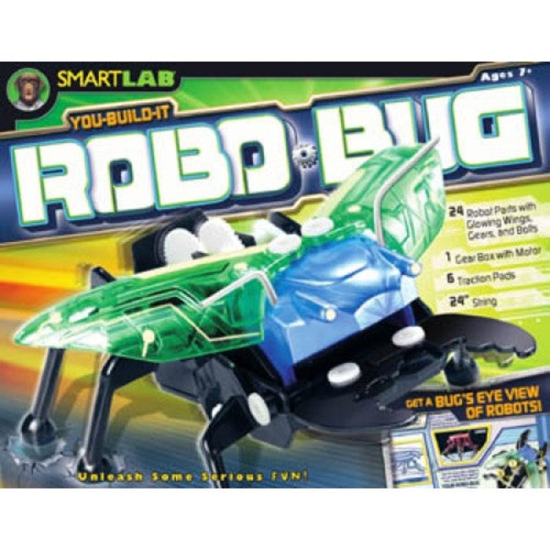 SL09043-12140 – ROBO BUG