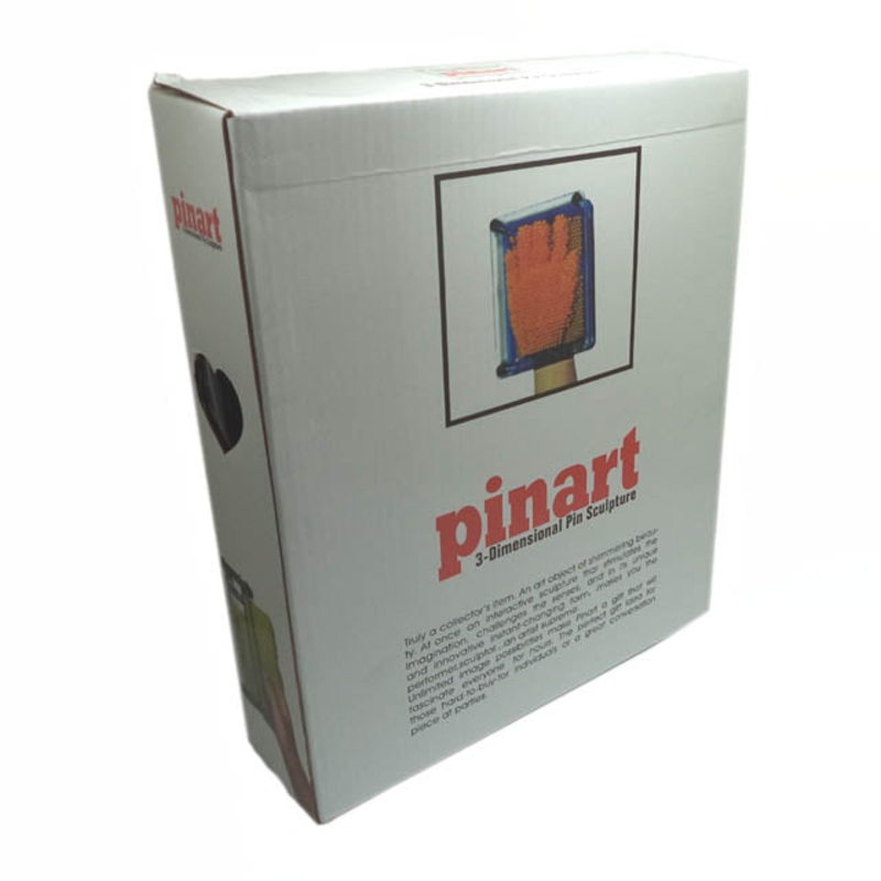 25-111 – PIN ART 3D SCULPTURE 8X10IN
