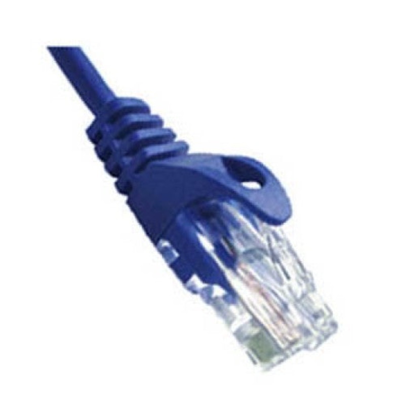 00670 – PATCH CORD CAT6 BLU 50FT