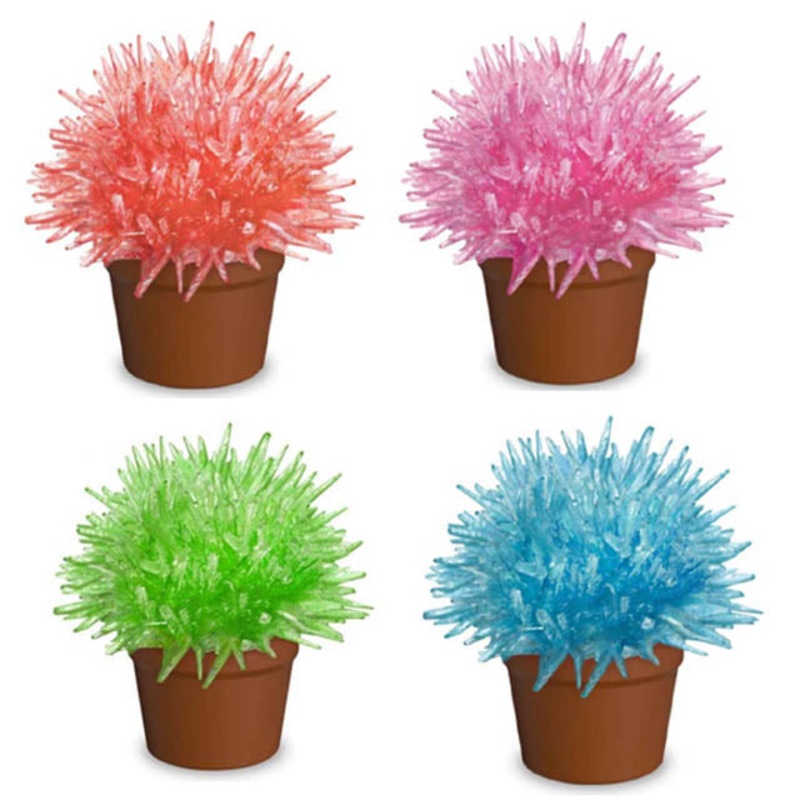 DG1004 – CRYSTAL CACTUS ASSORTED COLORS