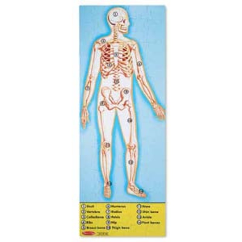20445 – HUMAN ANATOMY FLOOR PUZZLE 100PCS