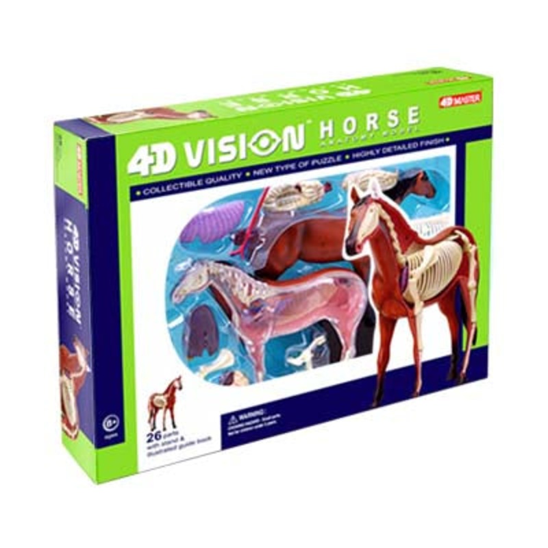 26101 – HORSE ANATOMY MODEL-AGES 8+ 4D-VISION