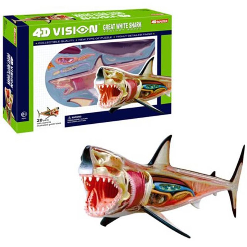 26111 – GREAT WHITE SHARK ANATOMY MODEL 4D-VISION 20PARTS W/STAND AND BOOK