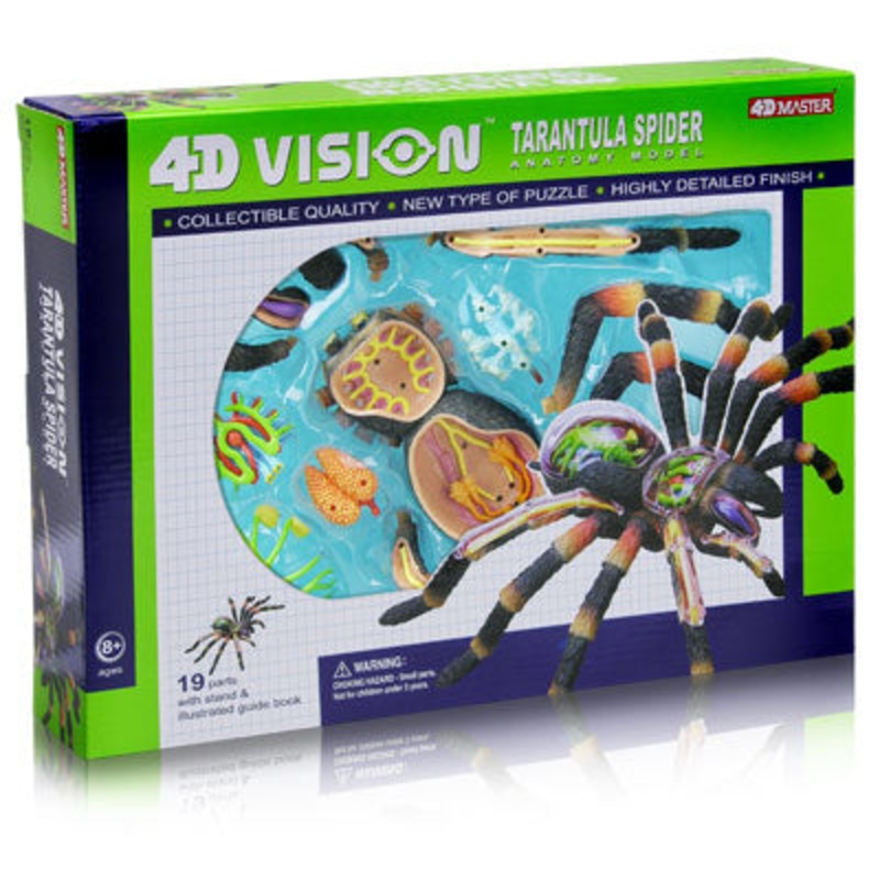 26112 – TARANTULA SPIDER ANATOMY MODEL 4D-VISION