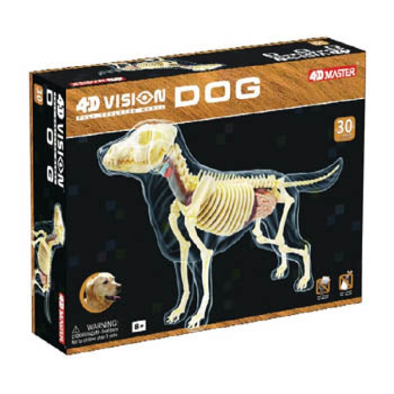 26721 – DOG SKELETON MODEL-AGES 8+ 4D-VISION