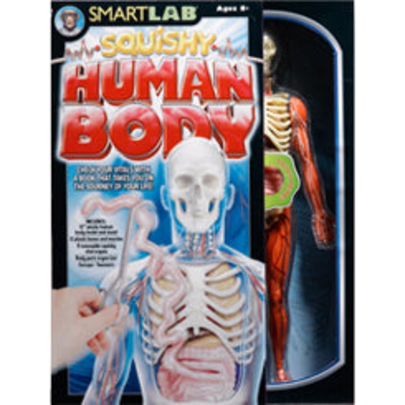 SL06428-12623 – HUMAN BODY