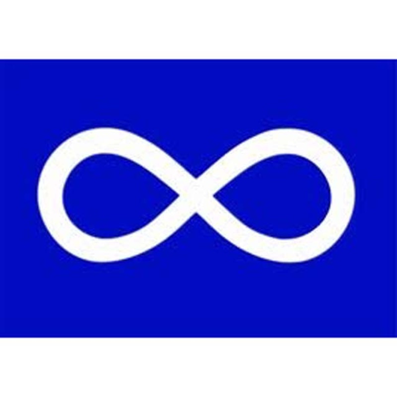 14932 – METIS BLUE SOUVENIR FLAG 3X5FT