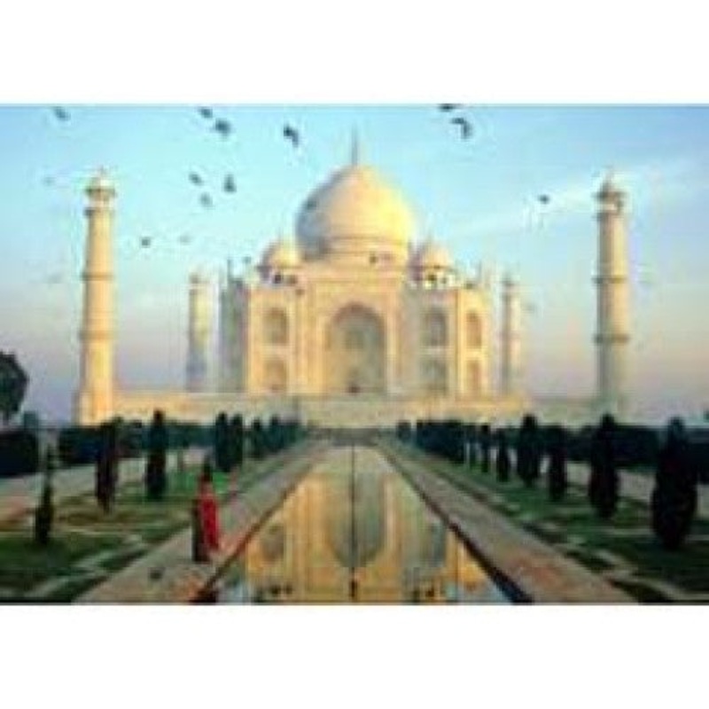 100-078 – PUZZLE-TAJ MAHAL INDIA 1000 PCS (GLOWS IN DARK)