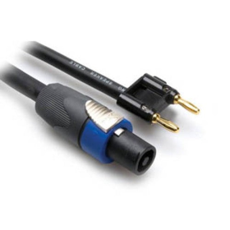 CA1058-10 – SPEAKON CABLE PLUG-BANANA PL 10F 10FT