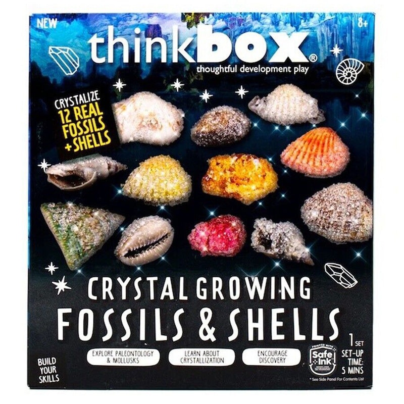 213803-BL – THINKBOX CRYSTAL GROWING FOSSILS SHELLS