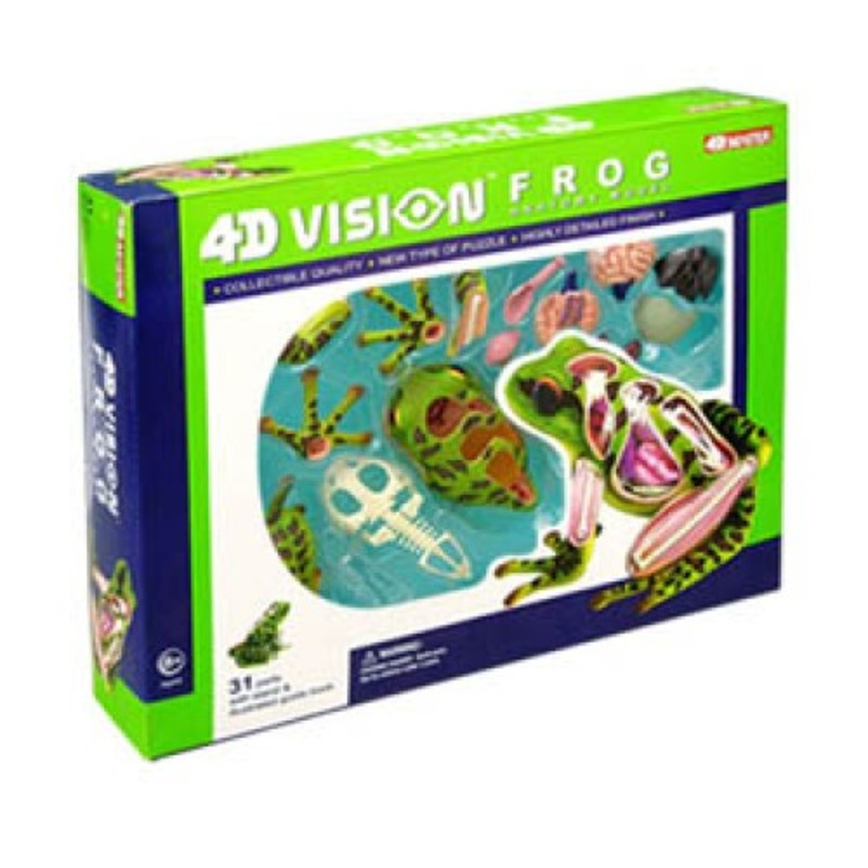 26104 – FROG ANATOMY MODEL 31 PIECES W/STAND AND BOOK