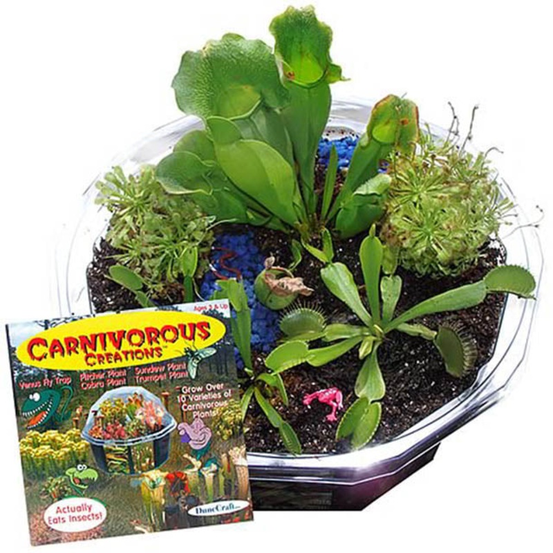 000094 – CARNIVOROUS CREATIONS