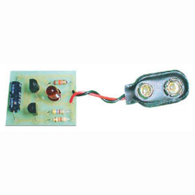 C4567 – JUMBO LED FLASHER