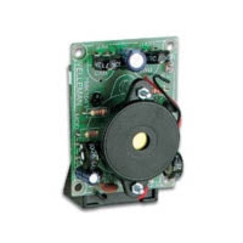 MK104 – ELECTRONIC CRICKET (INSECT)