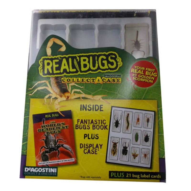 1020 – REAL BUGS COLLECT A CASE WITH LABEL CARDS