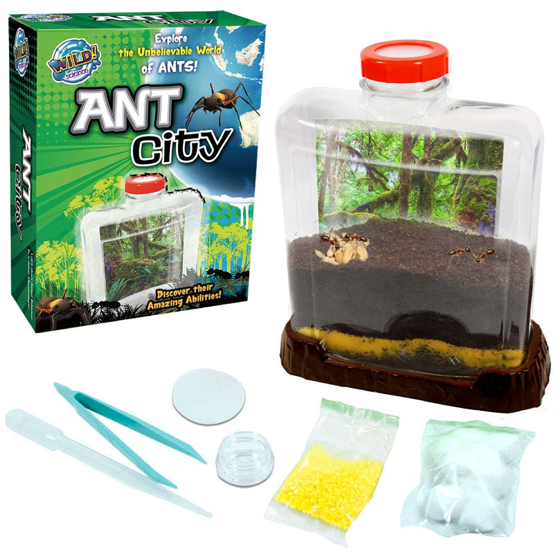 040522 – ANT CITY