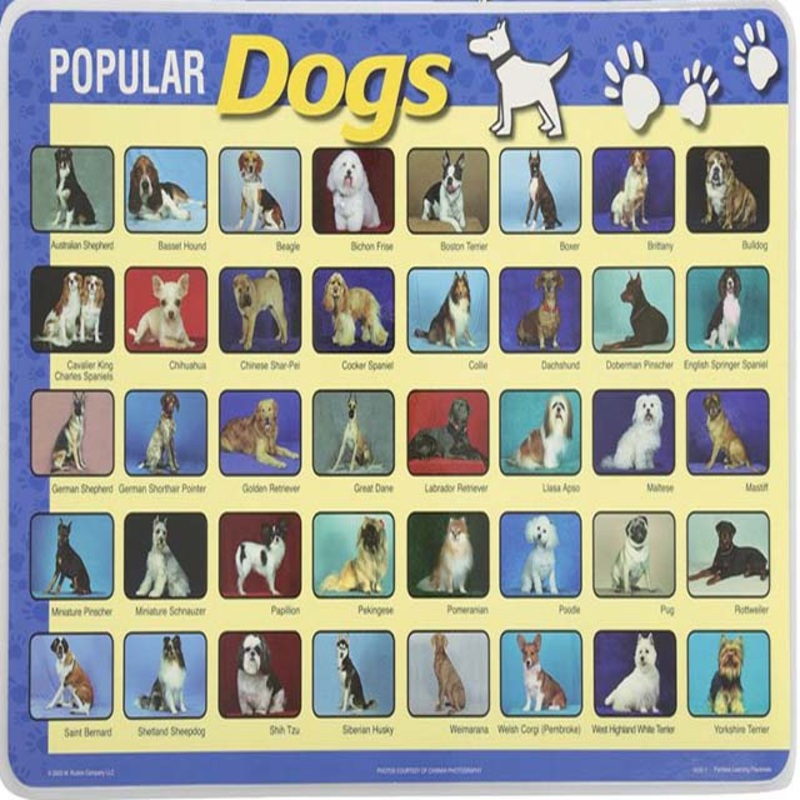 6550-WG24 – PLACEMAT POPULAR DOGS