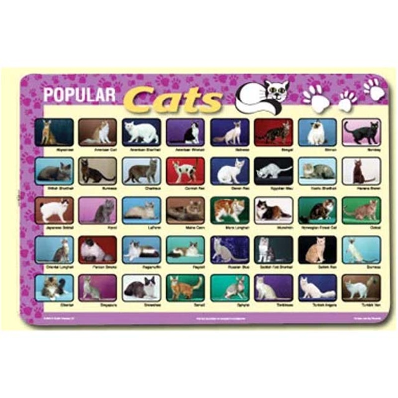 PLP-CAT-1 – PLACEMAT POPULAR CATS