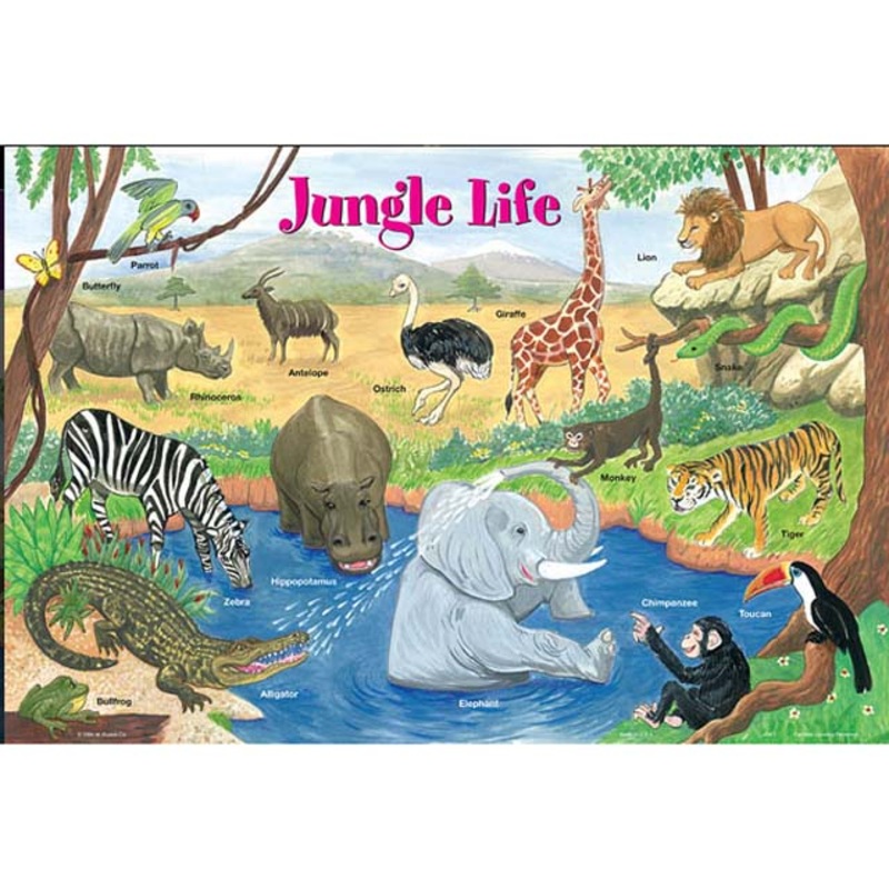 PLP-JAN-1 – PLACEMAT JUNGLE LIFE