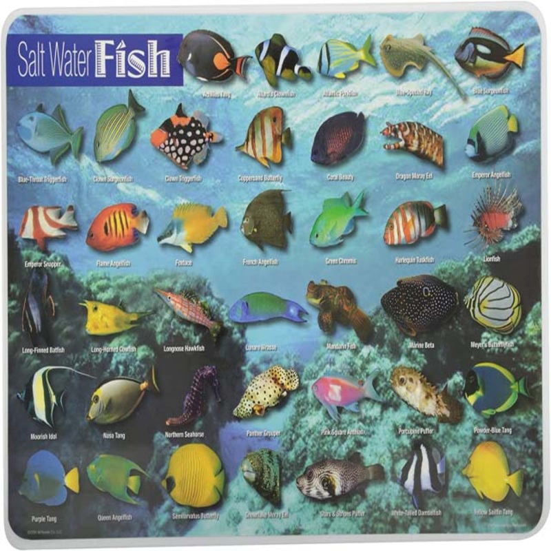 PLP-SWF-1 – PLACEMAT SALT WATER FISH