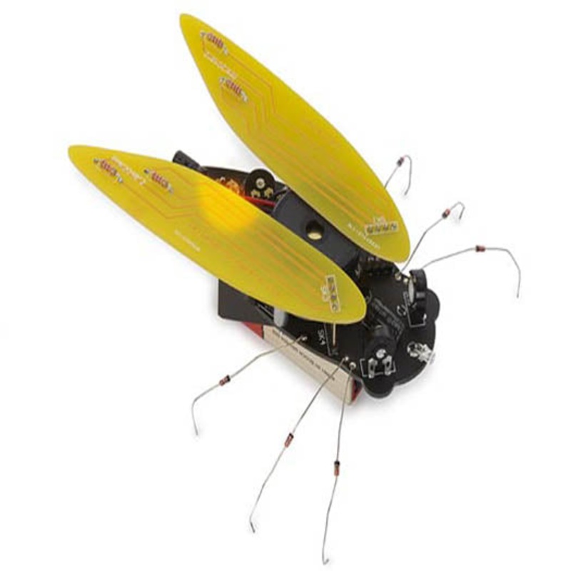 WSAK204 – ELECTRONIC CICADA (INSECT)